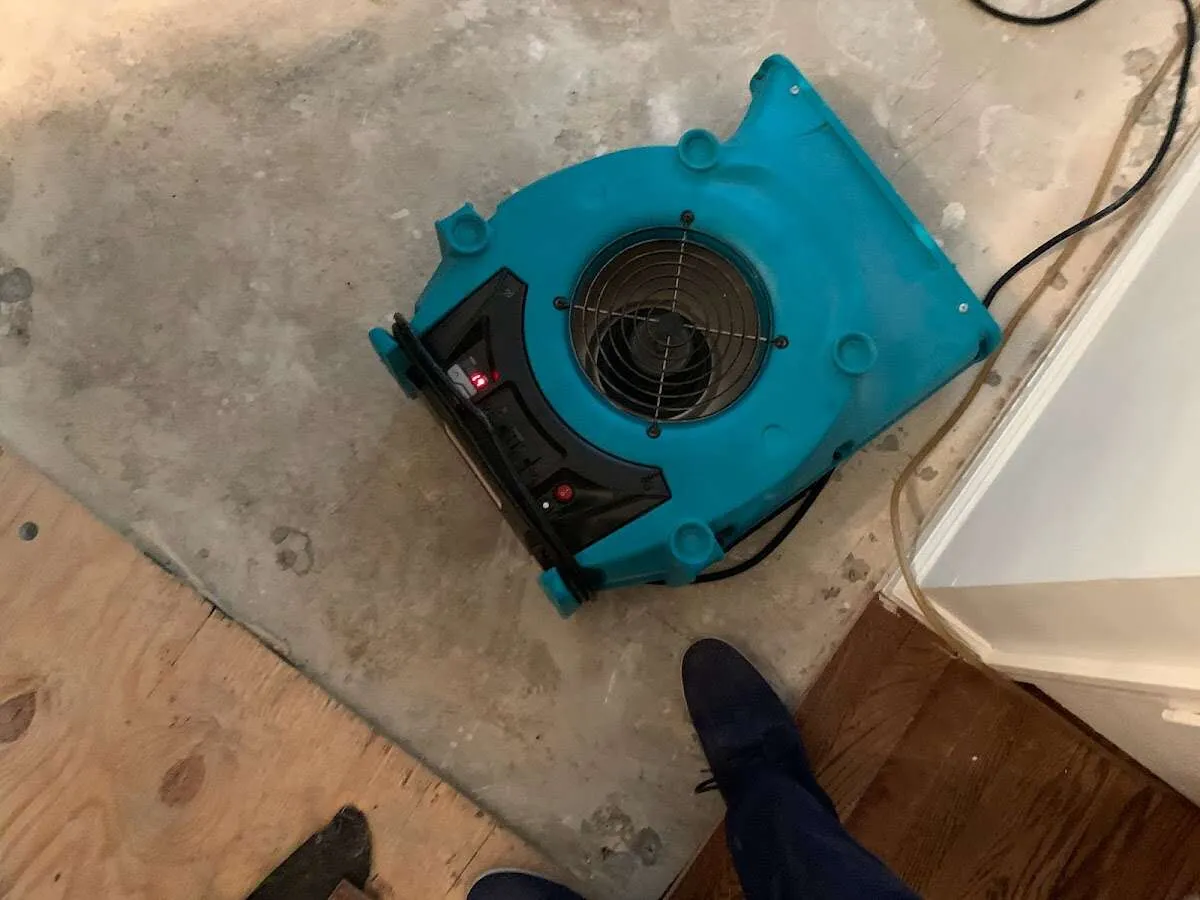 Air mover drying subfloor during Leak Detection & Repair in Bexley