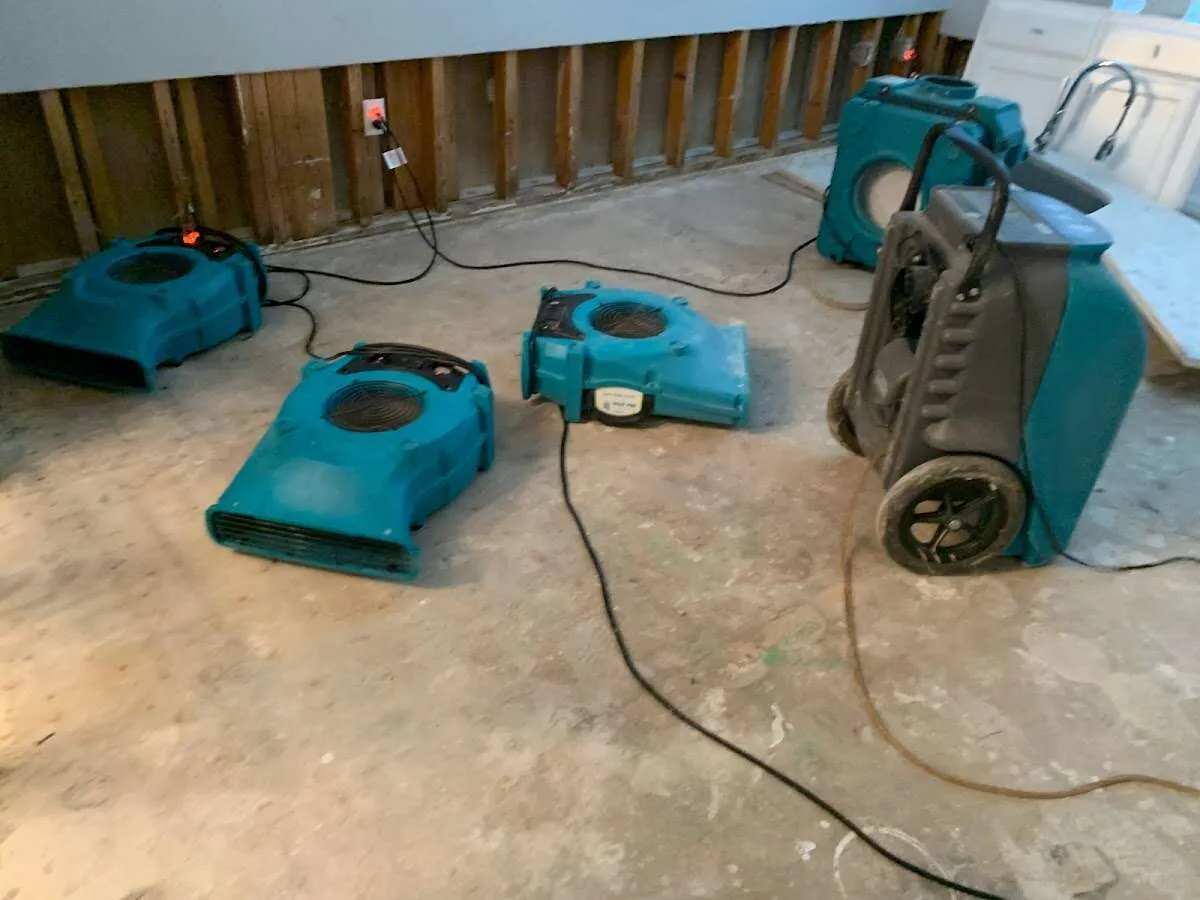 Mold Remediation & Removal in Bexley, OH